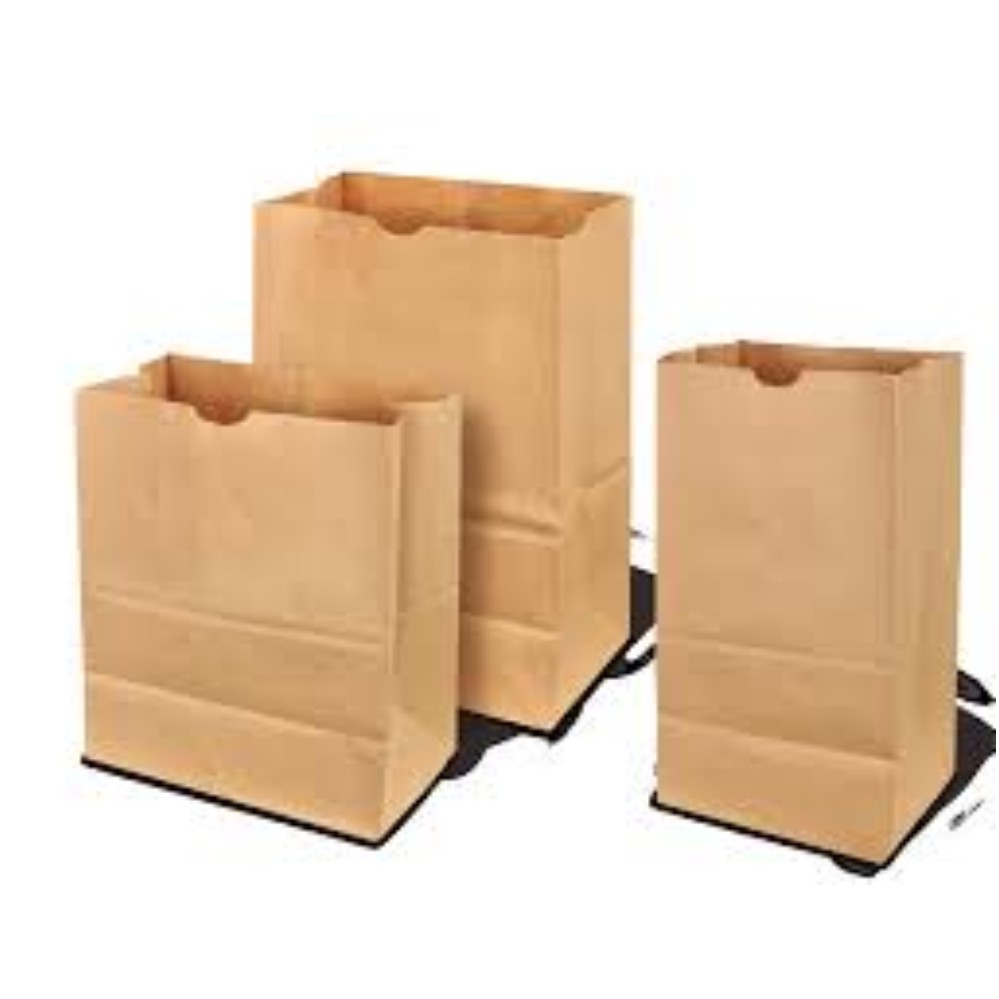 Duro 8 lb. Brown Paper Bag - 500/Bundle